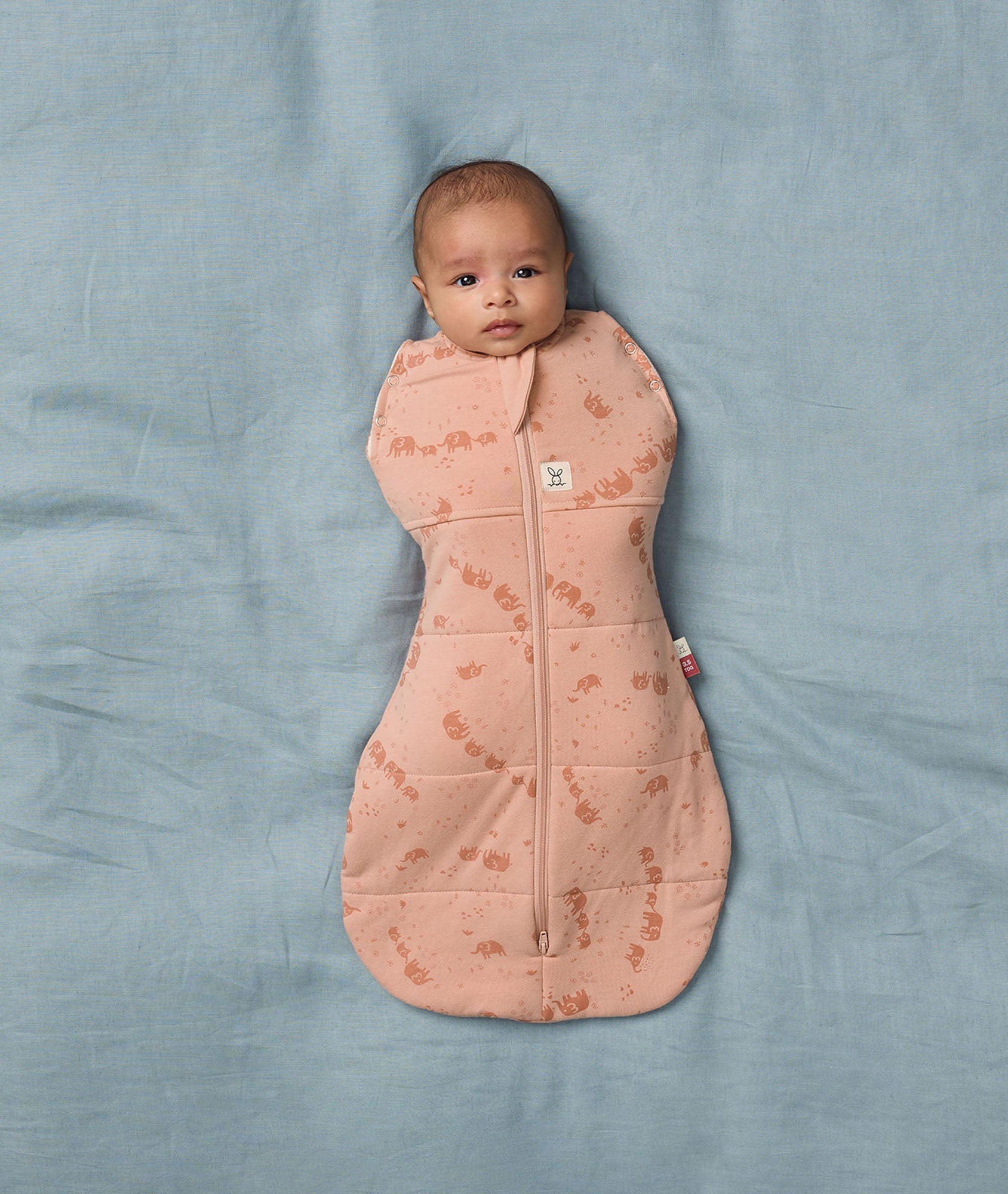 Cocoon Swaddle Sacks Holiday Sales – ergopouch US