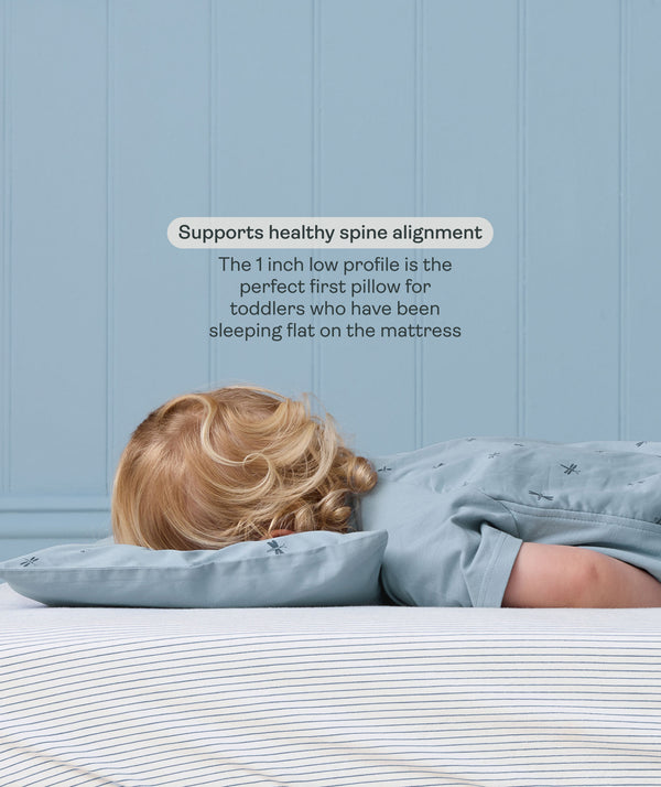 ergoPouch Toddler Pillow with 1-inch low profile helps support healthy spine alignment