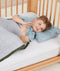 Toddler Pillow and Protector Bundle