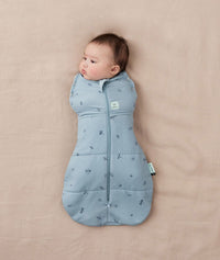 ergoPouch Cocoon Swaddle Sack 2.5 TOG Dragonflies, a warm swaddle