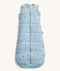 ergoPouch Sleep Sack 2.5 TOG Dragonflies