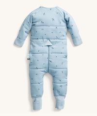 ergoPouch Sleep Onesie 2.5 TOG Dragonflies