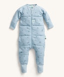 ergoPouch Sleep Onesie 2.5 TOG Dragonflies