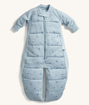 ergoPouch Sleep Suit Sack 2.5 TOG Dragonflies