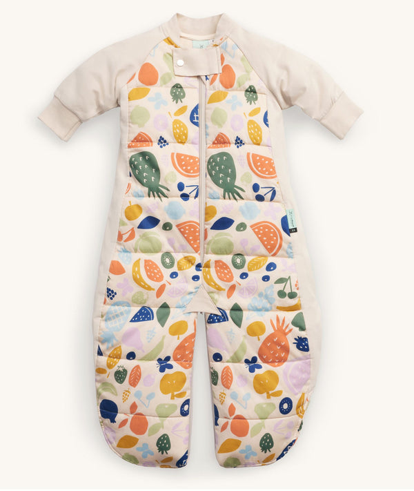 ergoPouch Sleep Suit Sack 2.5 TOG Dragonflies, a warm pouch