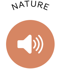 Nature sound icon