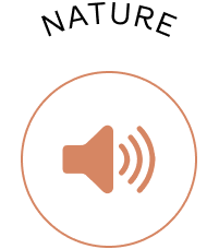 Nature sound icon